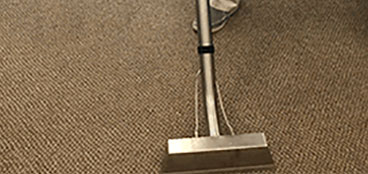 carpet cleaning