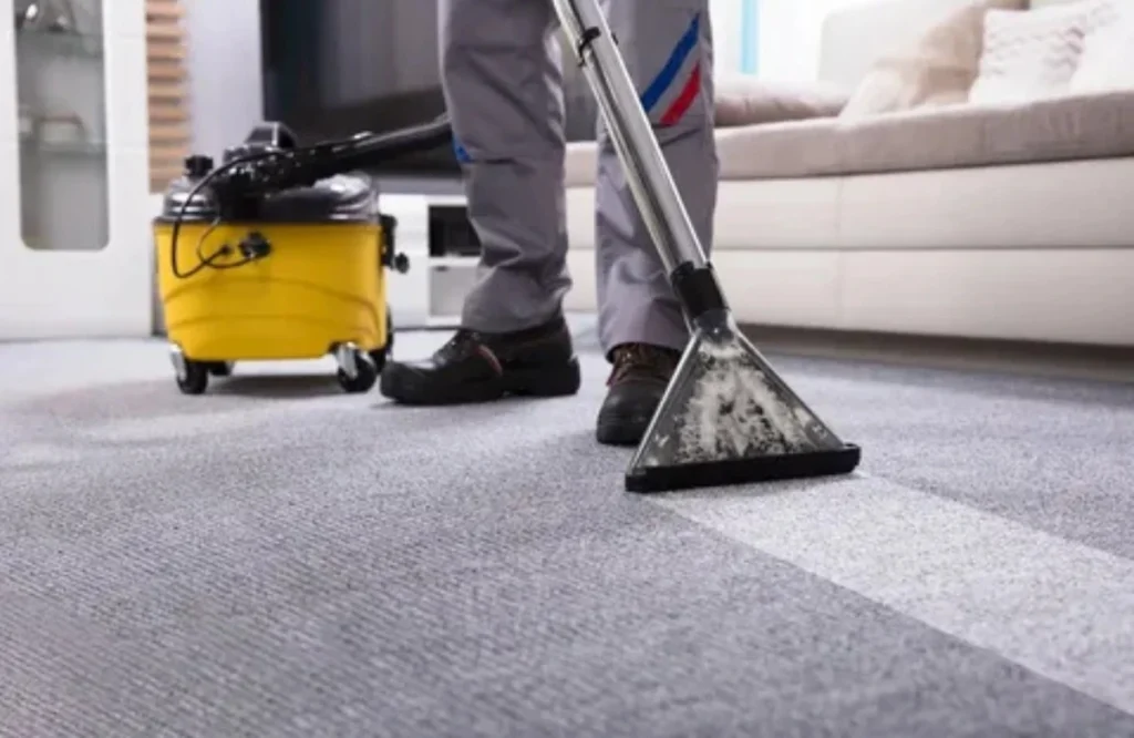 Best Carpet Cleaning Services