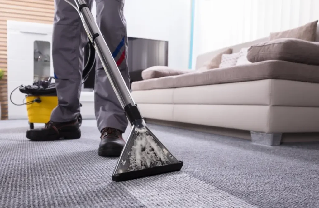 The Optimum Time to Wash Your Carpet Depending on The Season