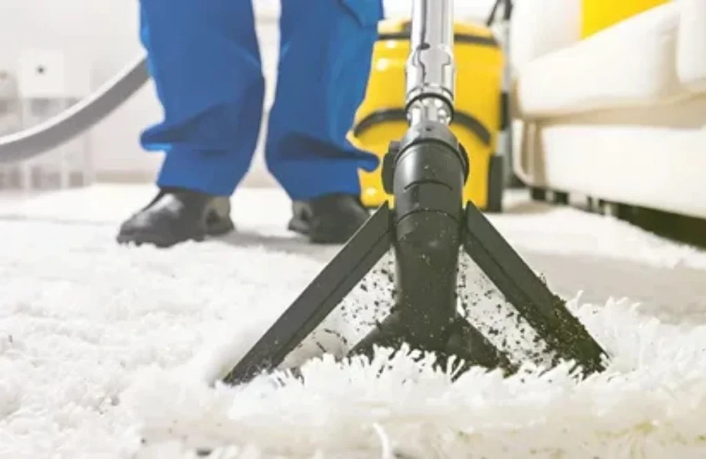 Carpet Cleaning Guide: DIY and Deep Cleaning Options