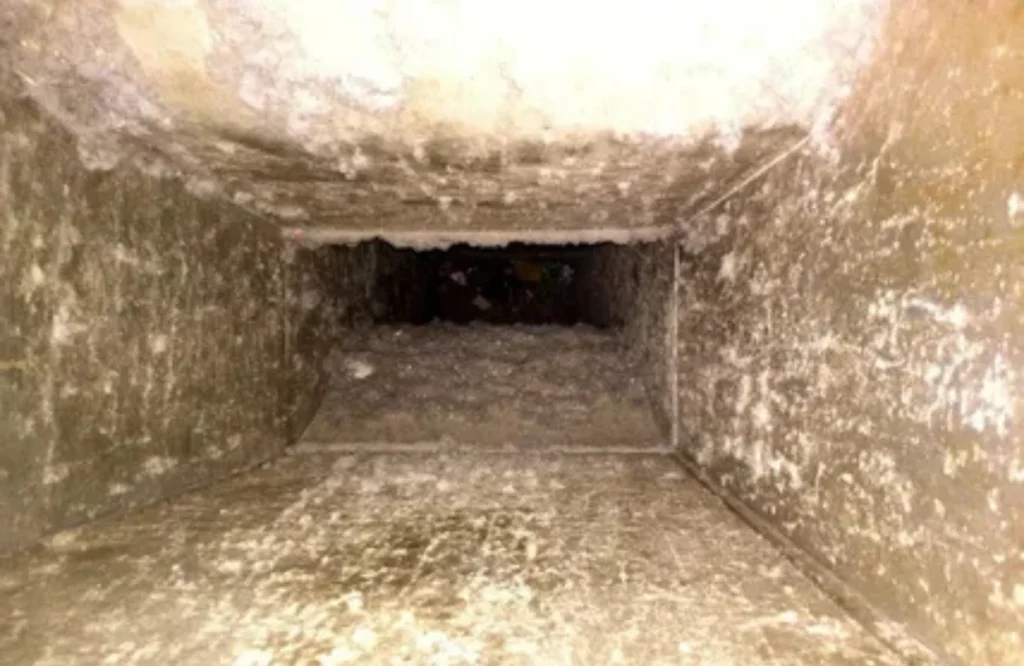 Allergies and Asthma Eased by Professional Air Duct Cleaning