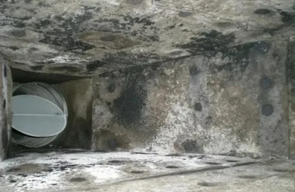 Allergies and Asthma Eased by Professional Air Duct Cleaning