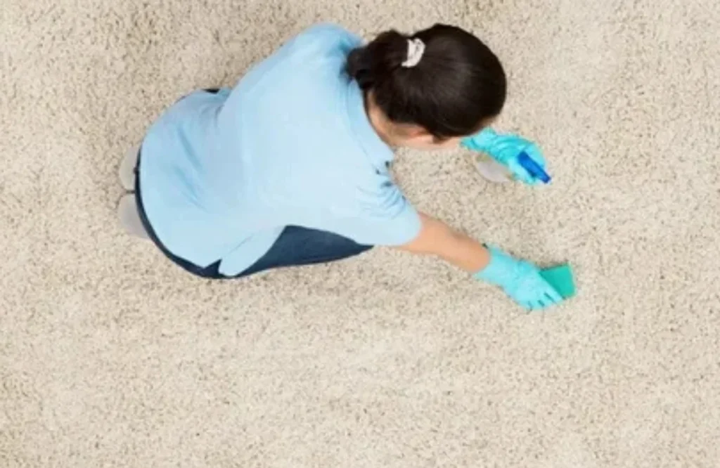 Carpet Smells Worse After Cleaning Here’s the Real Fix