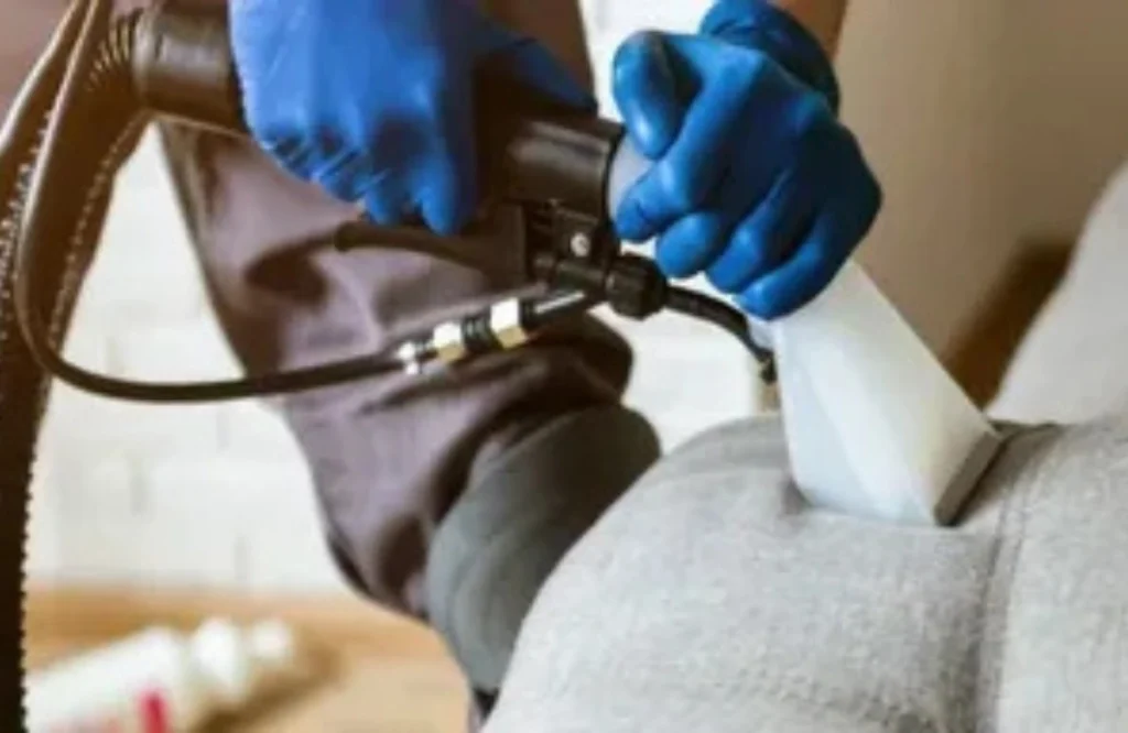 What to Expect From Upholstery Cleaning in Aurora