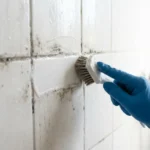 How to Remove Mold and Mildew From Shower Grout
